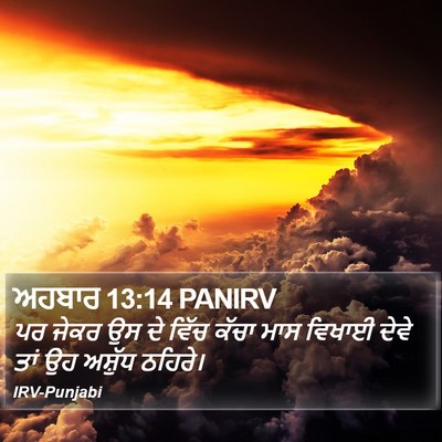ਅਹਬਾਰ 13:14 PANIRV Bible Verse Image