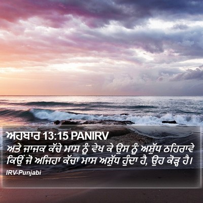 ਅਹਬਾਰ 13:15 PANIRV Bible Verse Image