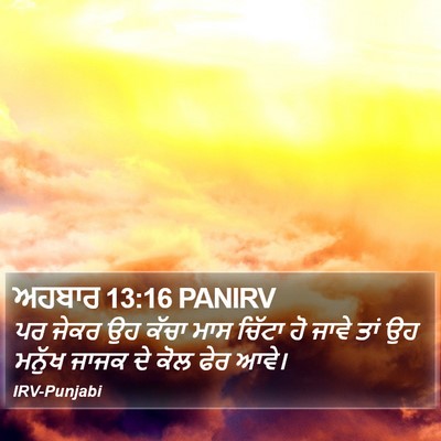 ਅਹਬਾਰ 13:16 PANIRV Bible Verse Image