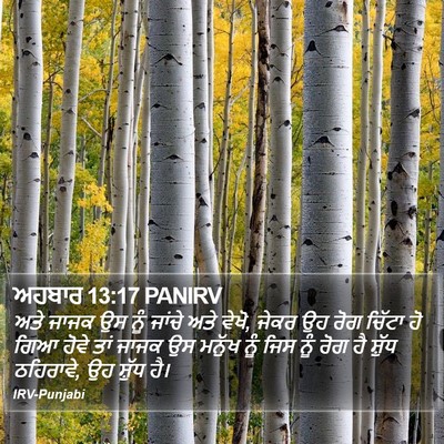 ਅਹਬਾਰ 13:17 PANIRV Bible Verse Image