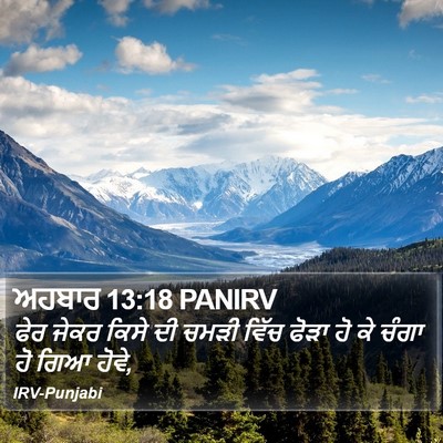 ਅਹਬਾਰ 13:18 PANIRV Bible Verse Image