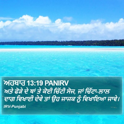 ਅਹਬਾਰ 13:19 PANIRV Bible Verse Image