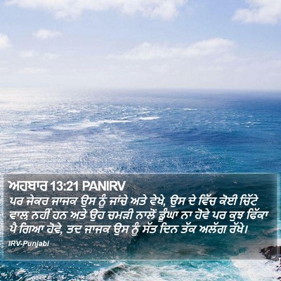 ਅਹਬਾਰ 13:21 PANIRV Bible Verse Image