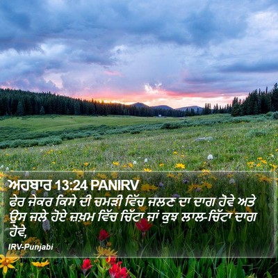 ਅਹਬਾਰ 13:24 PANIRV Bible Verse Image