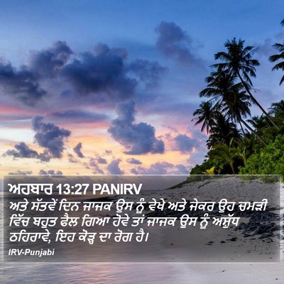ਅਹਬਾਰ 13:27 PANIRV Bible Verse Image