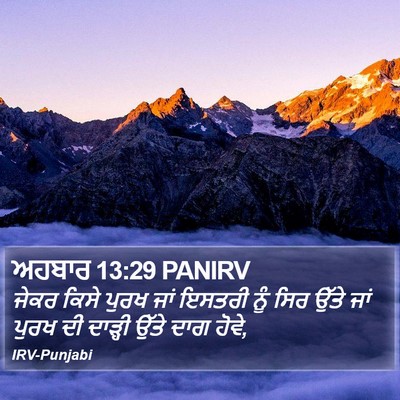 ਅਹਬਾਰ 13:29 PANIRV Bible Verse Image