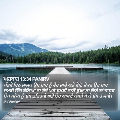 ਅਹਬਾਰ 13:34 PANIRV Bible Verse Image