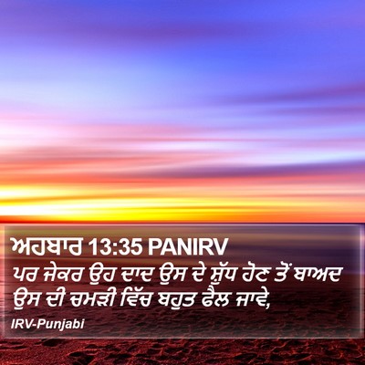 ਅਹਬਾਰ 13:35 PANIRV Bible Verse Image