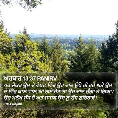 ਅਹਬਾਰ 13:37 PANIRV Bible Verse Image
