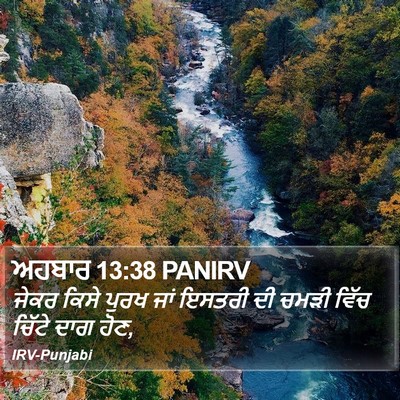 ਅਹਬਾਰ 13:38 PANIRV Bible Verse Image