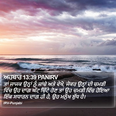 ਅਹਬਾਰ 13:39 PANIRV Bible Verse Image