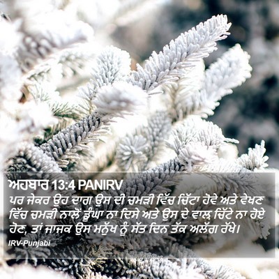 ਅਹਬਾਰ 13:4 PANIRV Bible Verse Image