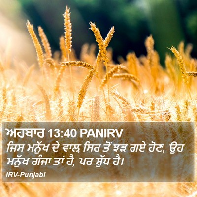 ਅਹਬਾਰ 13:40 PANIRV Bible Verse Image
