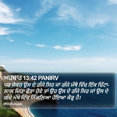 ਅਹਬਾਰ 13:42 PANIRV Bible Verse Image