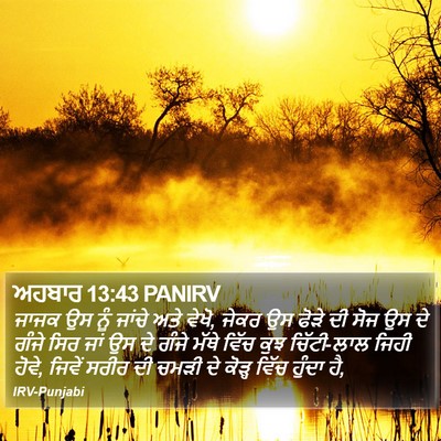 ਅਹਬਾਰ 13:43 PANIRV Bible Verse Image