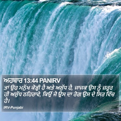 ਅਹਬਾਰ 13:44 PANIRV Bible Verse Image