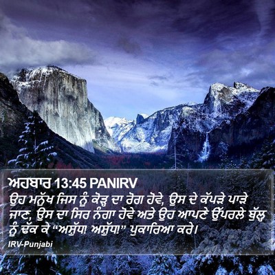 ਅਹਬਾਰ 13:45 PANIRV Bible Verse Image