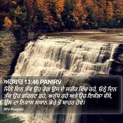 ਅਹਬਾਰ 13:46 PANIRV Bible Verse Image