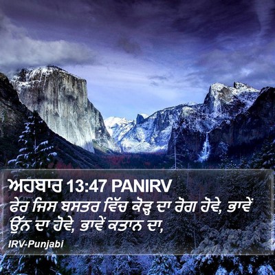 ਅਹਬਾਰ 13:47 PANIRV Bible Verse Image