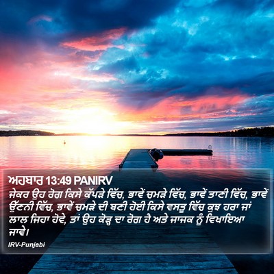 ਅਹਬਾਰ 13:49 PANIRV Bible Verse Image