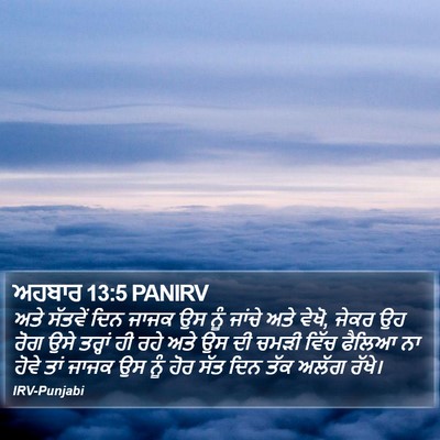 ਅਹਬਾਰ 13:5 PANIRV Bible Verse Image