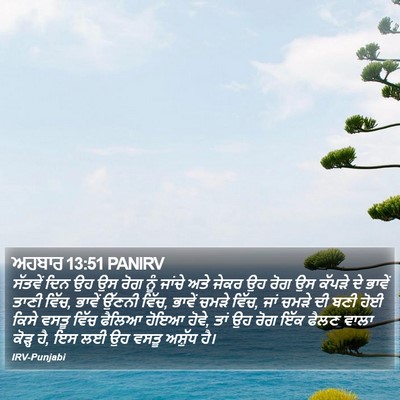 ਅਹਬਾਰ 13:51 PANIRV Bible Verse Image