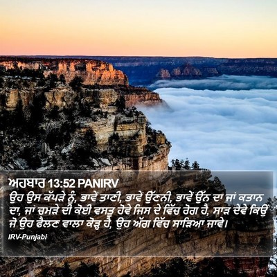 ਅਹਬਾਰ 13:52 PANIRV Bible Verse Image