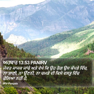 ਅਹਬਾਰ 13:53 PANIRV Bible Verse Image