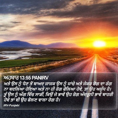 ਅਹਬਾਰ 13:55 PANIRV Bible Verse Image