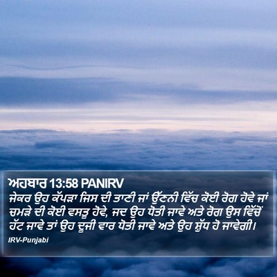 ਅਹਬਾਰ 13:58 PANIRV Bible Verse Image