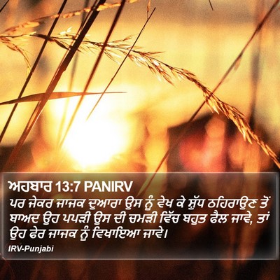 ਅਹਬਾਰ 13:7 PANIRV Bible Verse Image
