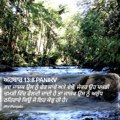 ਅਹਬਾਰ 13:8 PANIRV Bible Verse Image