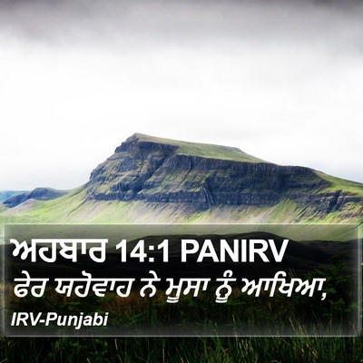 ਅਹਬਾਰ 14:1 PANIRV Bible Verse Image