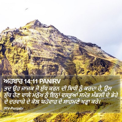 ਅਹਬਾਰ 14:11 PANIRV Bible Verse Image