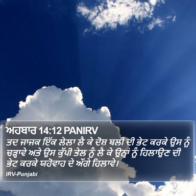 ਅਹਬਾਰ 14:12 PANIRV Bible Verse Image