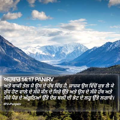 ਅਹਬਾਰ 14:17 PANIRV Bible Verse Image