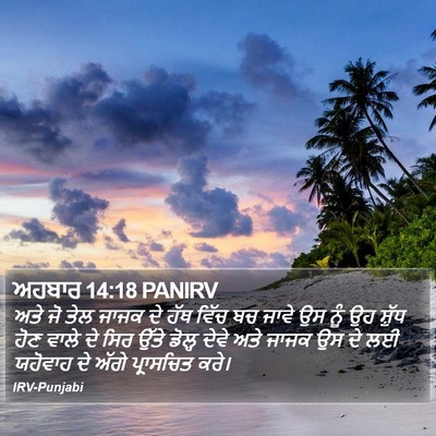 ਅਹਬਾਰ 14:18 PANIRV Bible Verse Image
