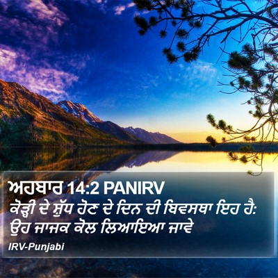 ਅਹਬਾਰ 14:2 PANIRV Bible Verse Image