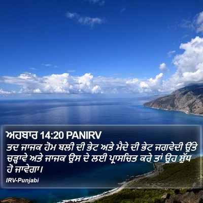 ਅਹਬਾਰ 14:20 PANIRV Bible Verse Image