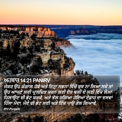 ਅਹਬਾਰ 14:21 PANIRV Bible Verse Image