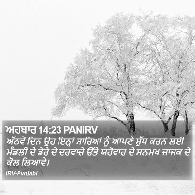 ਅਹਬਾਰ 14:23 PANIRV Bible Verse Image