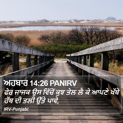 ਅਹਬਾਰ 14:26 PANIRV Bible Verse Image