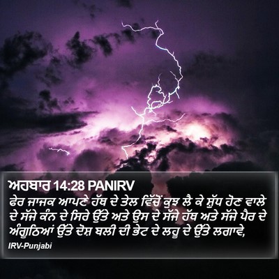 ਅਹਬਾਰ 14:28 PANIRV Bible Verse Image