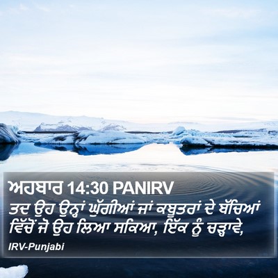 ਅਹਬਾਰ 14:30 PANIRV Bible Verse Image