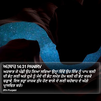 ਅਹਬਾਰ 14:31 PANIRV Bible Verse Image