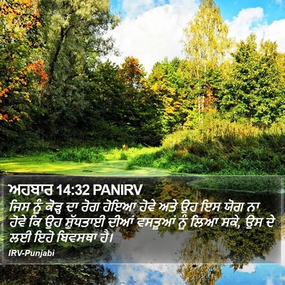 ਅਹਬਾਰ 14:32 PANIRV Bible Verse Image