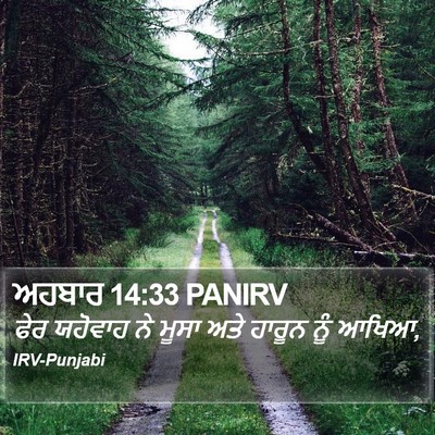 ਅਹਬਾਰ 14:33 PANIRV Bible Verse Image