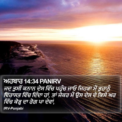 ਅਹਬਾਰ 14:34 PANIRV Bible Verse Image