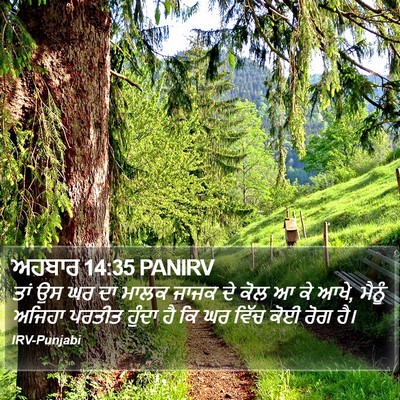 ਅਹਬਾਰ 14:35 PANIRV Bible Verse Image