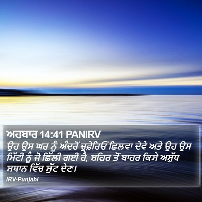 ਅਹਬਾਰ 14:41 PANIRV Bible Verse Image
